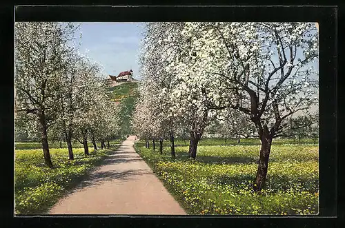 AK Staufen, Weg zum Staufberg im Seetal