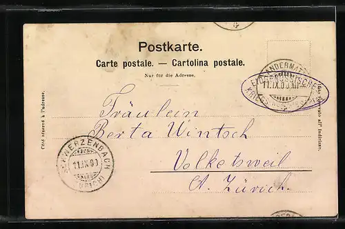 AK Amsteg /Gotthardbahn, Teilansicht