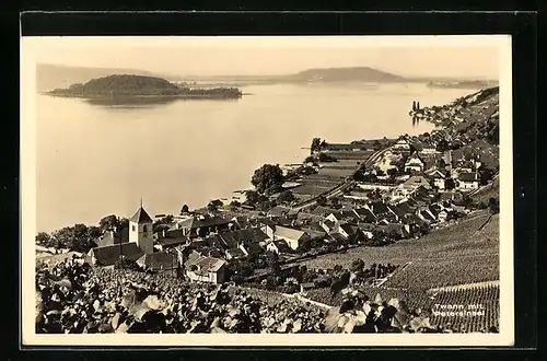 AK Twann, Blick auf die Petersinsel