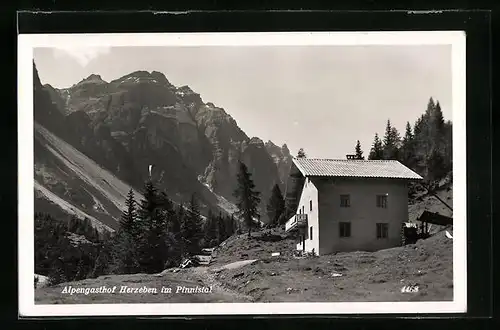AK Neustift /Stubai, Alpengasthof Herzeben im Pinnistal