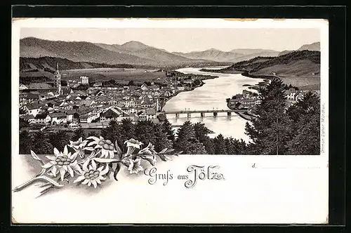 Lithographie Tölz, Ortsansicht mit Umgebung von oben