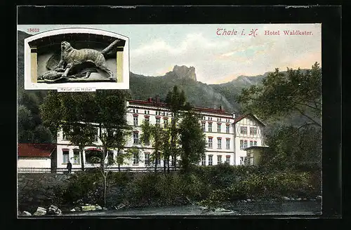 AK Thale i. H., Hotel Waldkater, Relief am Hotel
