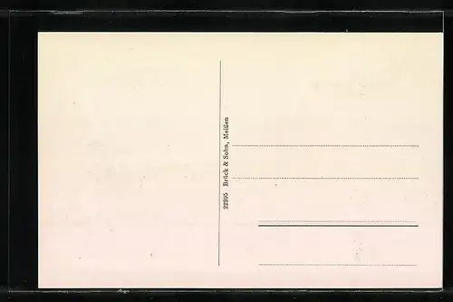 AK Sebnitz-Knöchel /Sa., Partie in der Dr.-Petzold-Strasse