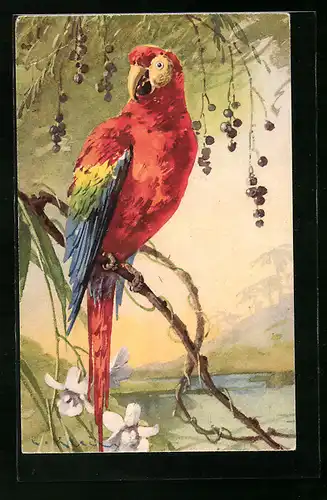 Künstler-AK Catharina Klein: schöner bunter Papagei auf einem Zweig sitzend