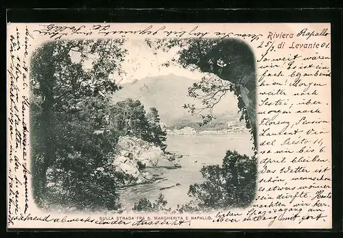 AK Rapallo, Sulla Strada Fra S. Marherita e Rapallo