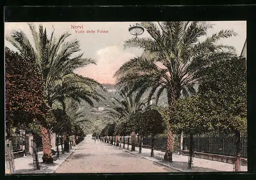 AK Nervi, Viale delle Palme