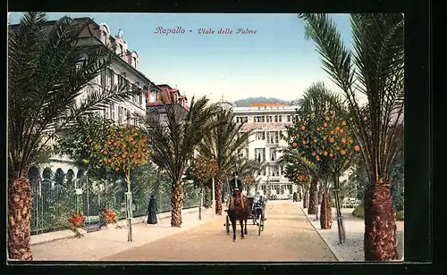 AK Rapallo, Viale delle Palme