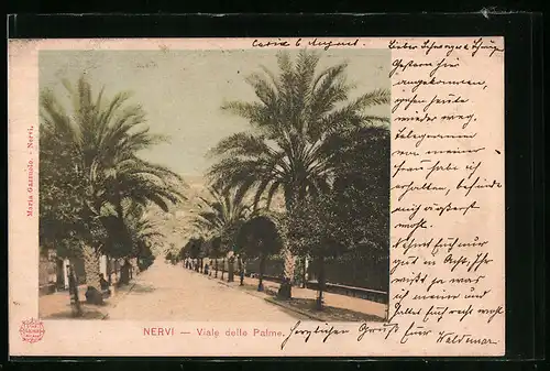 AK Nervi, Viale delle Palme