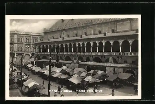 AK Padova, Piazza delle Erbe