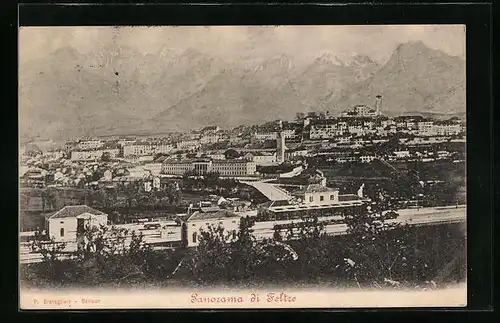 AK Feltre, Panorama