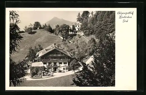 AK Hinterdux, Blick zum Alpengasthof