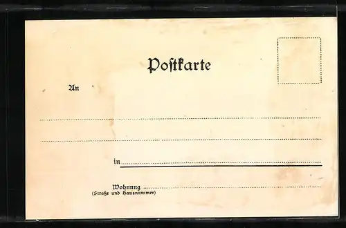 Lithographie Innsbruck, Hotel goldene Sonne, Gasthaus Goldenes Dachl, Teilansicht