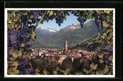 AK Merano, Panorama