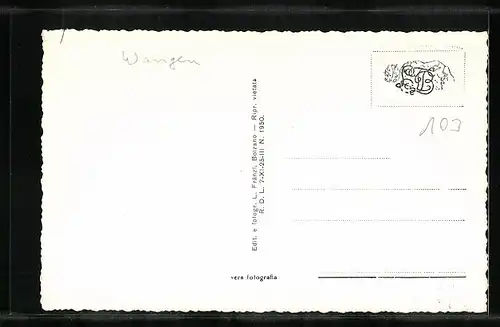 AK Wangen, Ortsansicht aus der Vogelschau