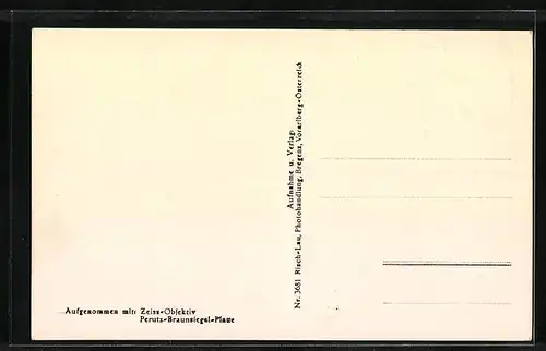 AK Feldkirch, Ortsansicht mit Alviergruppe