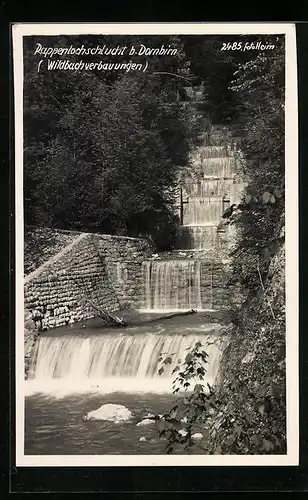 AK Dornbirn, Rappenlochschlucht