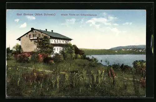 AK Bad Buckow /Märk. Schweiz, Hotel Weisse Taube am Schermützelsee
