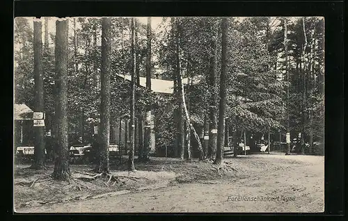 AK Liegau, Gasthaus Forellenschänke
