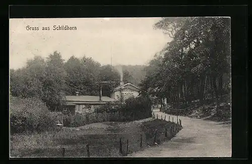 AK Berlin-Grunewald, Schildhorn-Halbinsel mit Gasthaus Ritzhaupt