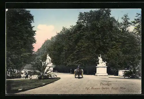 AK Dresden, Königlicher Grosser Garten, Haupt-Allee