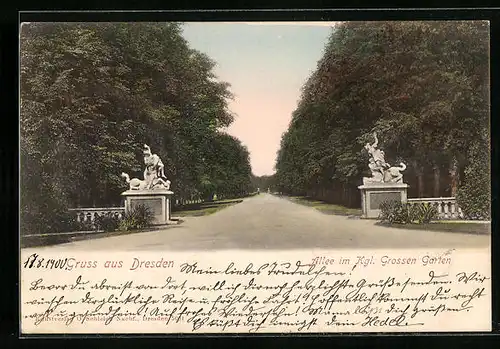 AK Dresden, Allee im Königlichen Grossen Garten