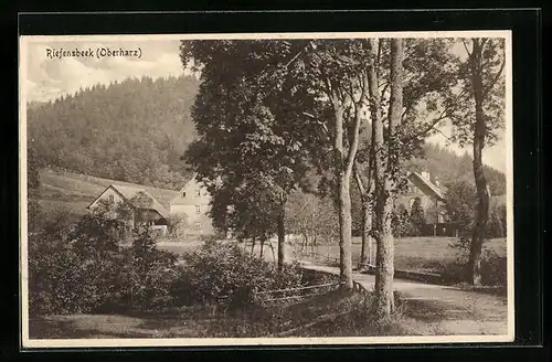 AK Riefensbeek /Harz, Strassenpartie