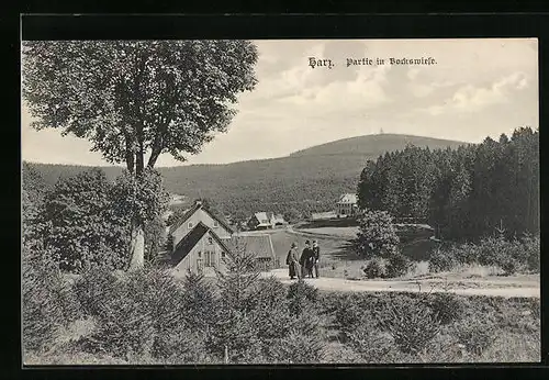 AK Bockswiese /Harz, Ortspartie aus der Vogelschau