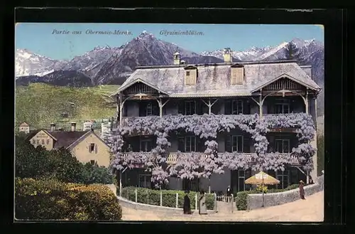 AK Meran-Obermais, Glyzinienblüten