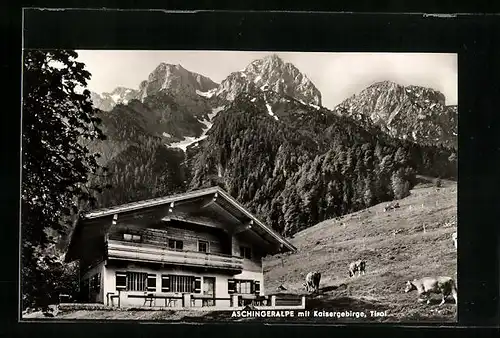 AK Ebbs b. Kufstein, Aschingeralpe mit Kaisergebirge