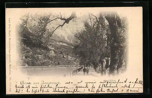 AK Innsbruck, Inn-Allee mit Bergpanorama