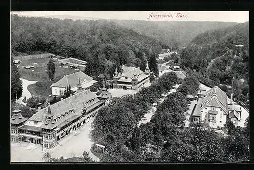 AK Alexisbad /Harz, Ortsansicht aus der Vogelschau