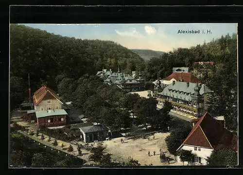 AK Alexisbad /Harz, Ortsansicht aus der Vogelschau