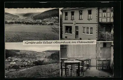AK Wald-Amorbach im Odenwald, Gasthaus, Innenansicht, Teilansicht