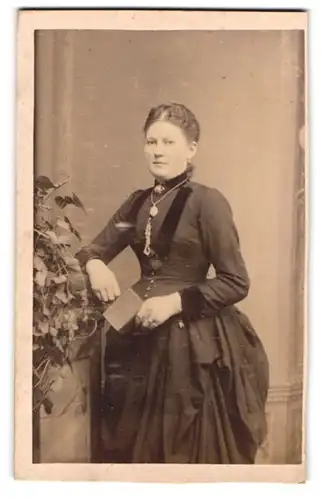 Fotografie J. F. Petersen, Lübeck, Obere Aegidienstr. 8, Portrait schöne junge Frau im prachtvollen Kleid
