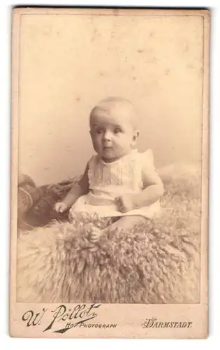 Fotografie Wilh. Pöllot, Darmstadt, Hügelstrasse 59, Kleines Baby sitzt auf einer Wolldecke