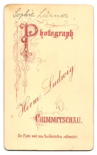 Fotografie H. Ludwig, Crimmitschau, Ältere Frau Sophie Lüsner mit Schirm in der Hand und Kopfbedeckung