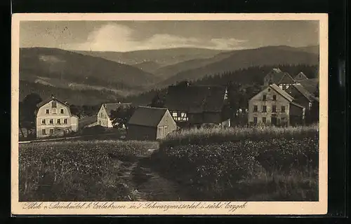 AK Erlabrunn / sächs. Erzgebirge, Blick vom Steinheidel