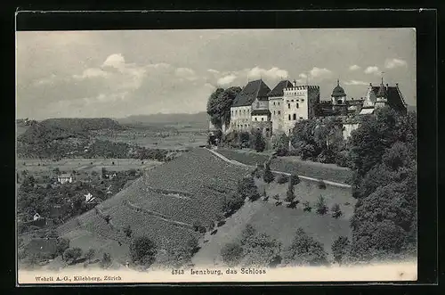 AK Lenzburg, Das Schloss