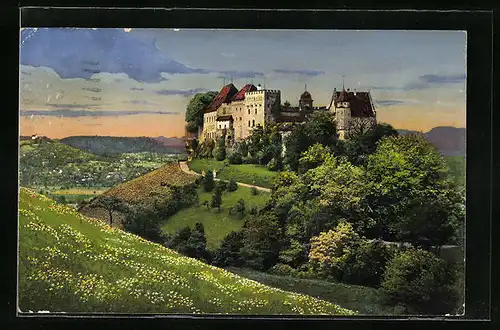 AK Lenzburg im Seetal, Schloss Lenzburg aus der Vogelschau