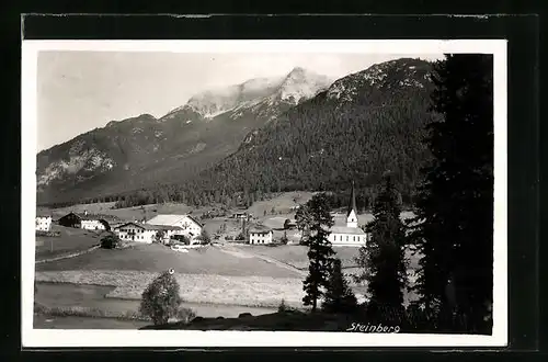 AK Steinberg, Totale vom Waldrand aus gesehen