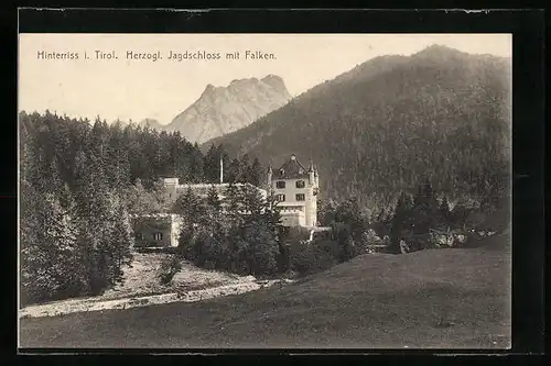 AK Hinterriss i. T., Herzogl. Jagdschloss mit Falken