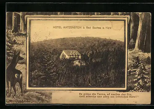 AK Bad Sachsa /Harz, Hotel Katzenstein