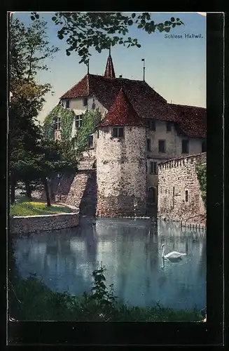 AK Hallwil, Blick auf Schloss Hallwil