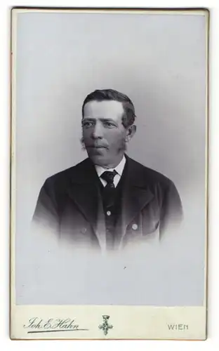 Fotografie Joh. E. Hahn, Wien, Portrait betagter Herr mit Kotelettenbart und Krawatte im Anzug