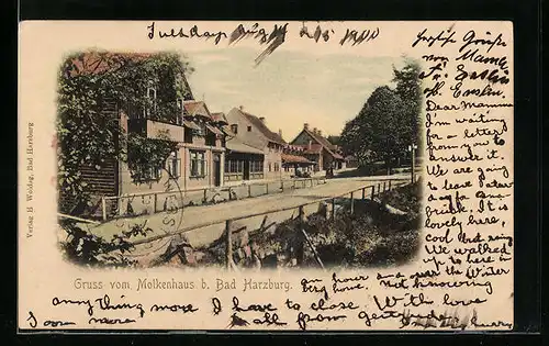 AK Bad Harzburg, Blick zum Molkenhaus