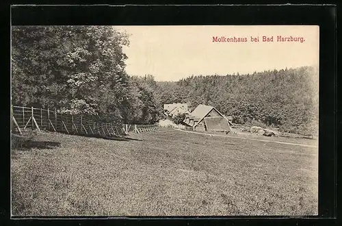 AK Bad Harzburg, Ortsansicht mit Molkenhaus