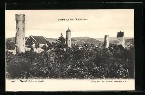 AK Neustadt a. Saale, Partie an der Stadtmauer