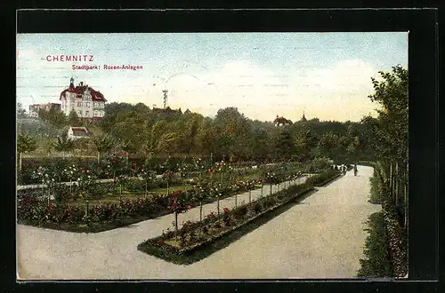 AK Chemnitz, Stadtpark mit Rosen-Anlagen