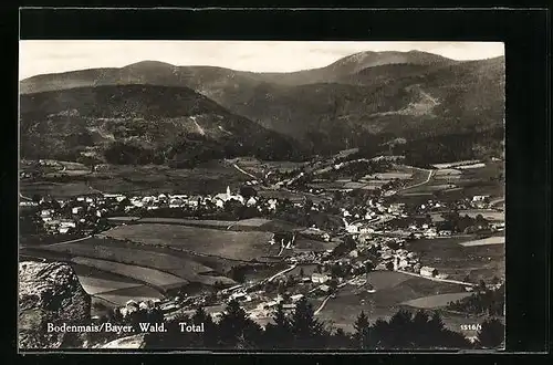 AK Bodenmais i. Bayer. Wald, Totalansicht aus der Vogelschau