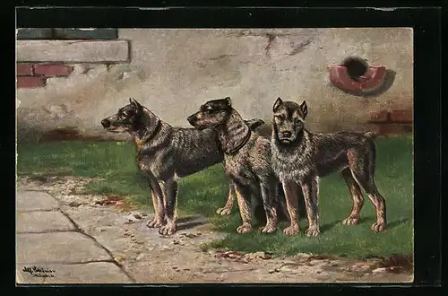 Künstler-AK Alfred Schönian: Drei Terrier im Garten